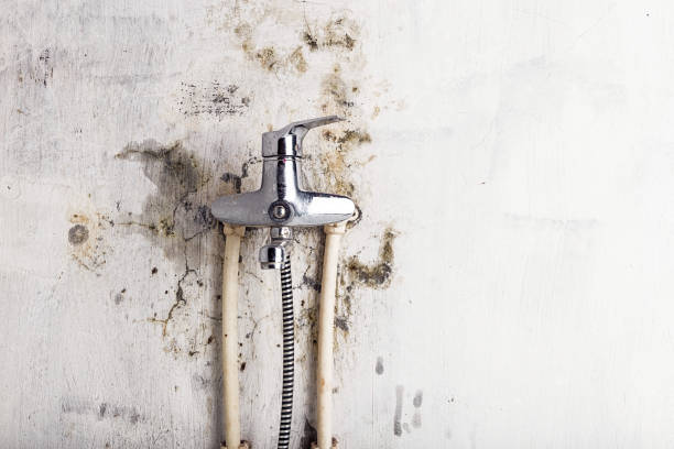 Best Emergency Mold Removal  in West Simsbury, CT