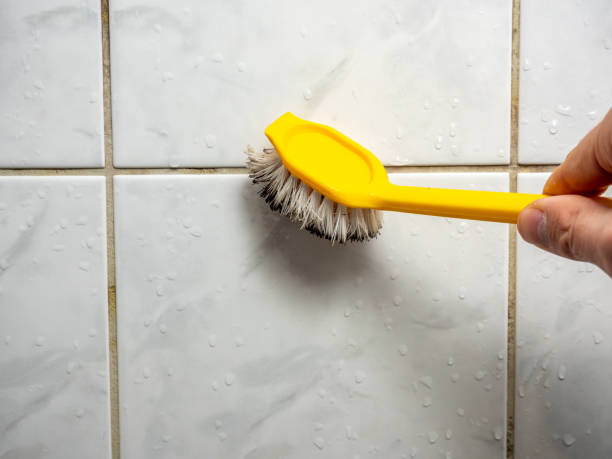 Best Same-Day Mold Removal  in West Simsbury, CT