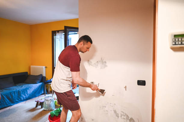 Best Local Mold Removal Service  in West Simsbury, CT