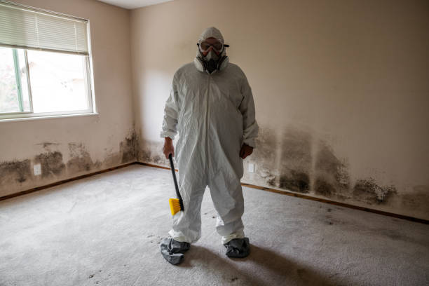 Mold Removal Process in West Simsbury, CT